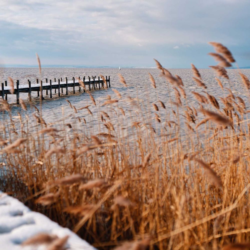 schilfguertel neusiedler see donnerskirchen